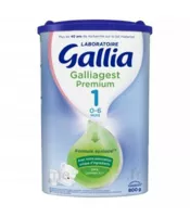 Gallia Galliagest Premium 1 Lait En Poudre B/800g à La Ricamarie